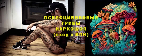 спиды Беломорск
